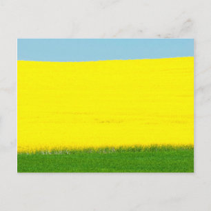 Spring Landscape Meadow Briefkaart