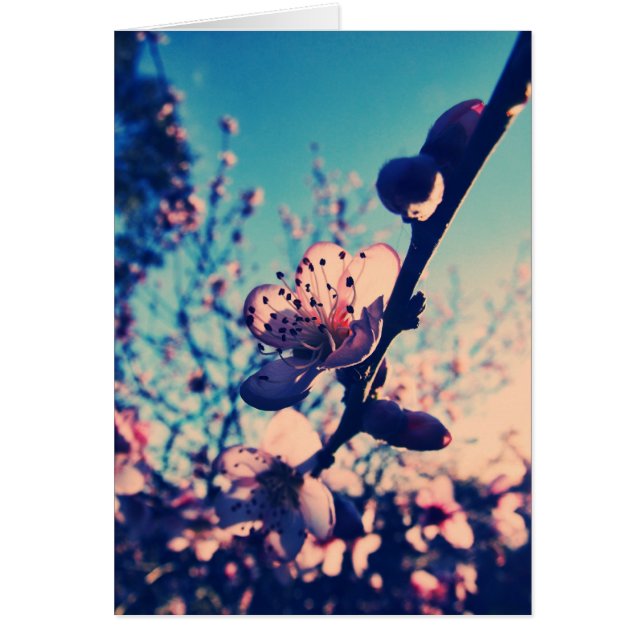 Spring Lomo Blossom Card (Voorkant)