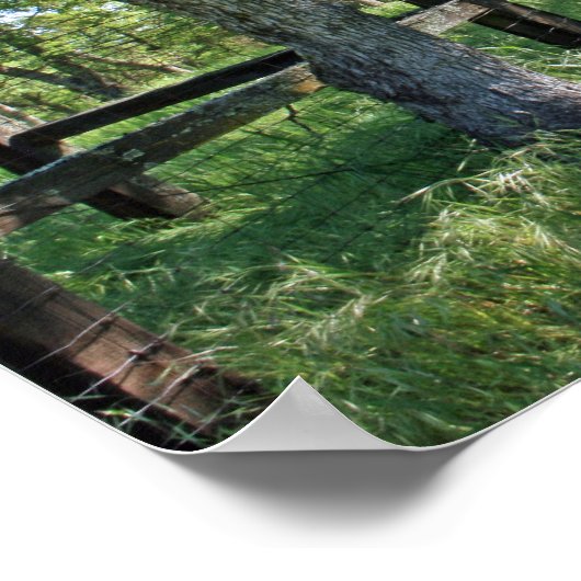 "Spring Meadow" Poster (Hoek)