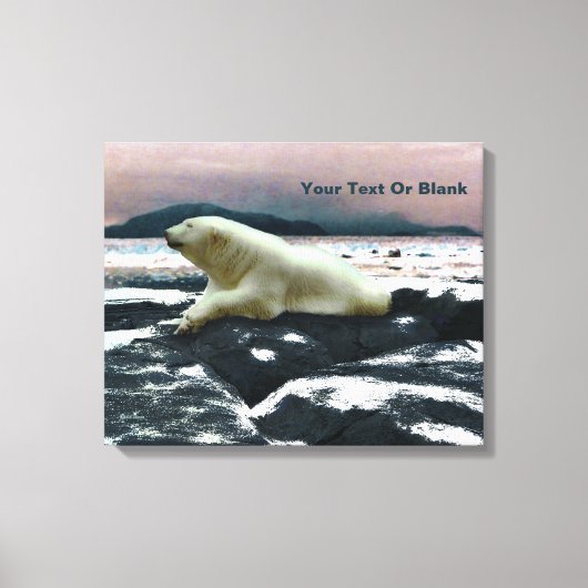 Spring Melt Polar Beer Canvas Afdruk (Voorkant)