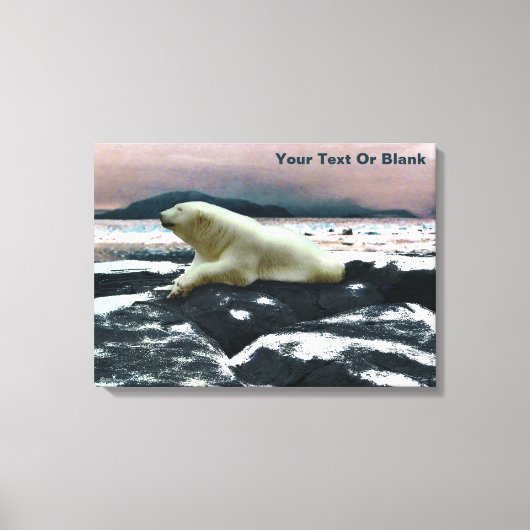 Spring Melt Polar Beer Canvas Afdruk (Voorkant)