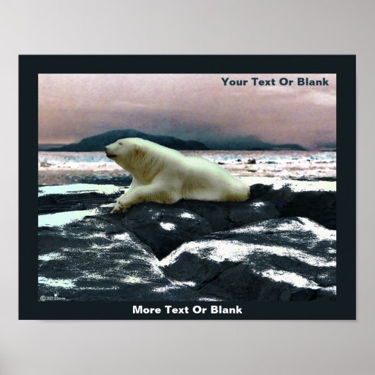 Spring Melt Polar Beer Poster (Voorkant)
