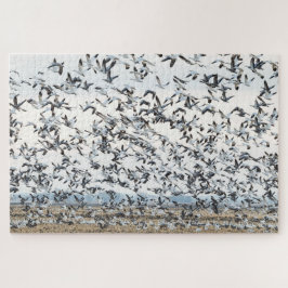 Spring Migration Puzzle Legpuzzel