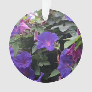 Spring Morning Glories en bleu