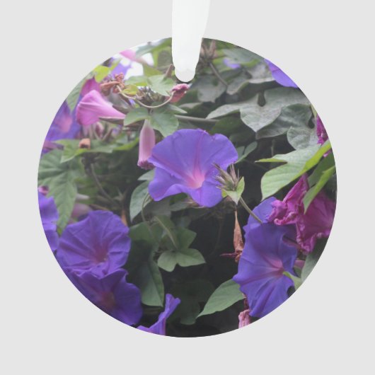 Spring Morning Glories in Blue Ornament (voorkant)
