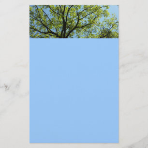 Spring Oak Tree Vibrant Natuur Briefpapier