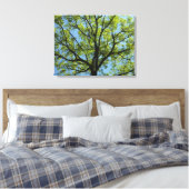 Spring Oak Tree Vibrant Natuur Canvas Afdruk (Insitu (Slaapkamer))