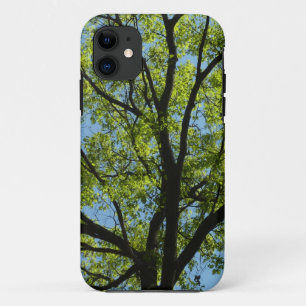 Spring Oak Tree Vibrant Natuur iPhone 11 Hoesje
