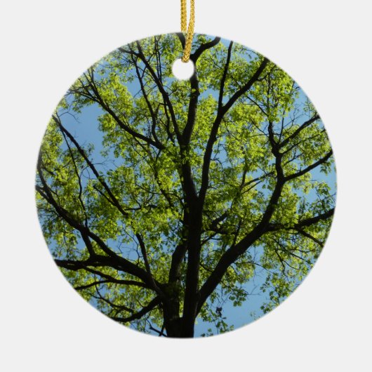 Spring Oak Tree Vibrant Natuur Keramisch Ornament (Voorkant)