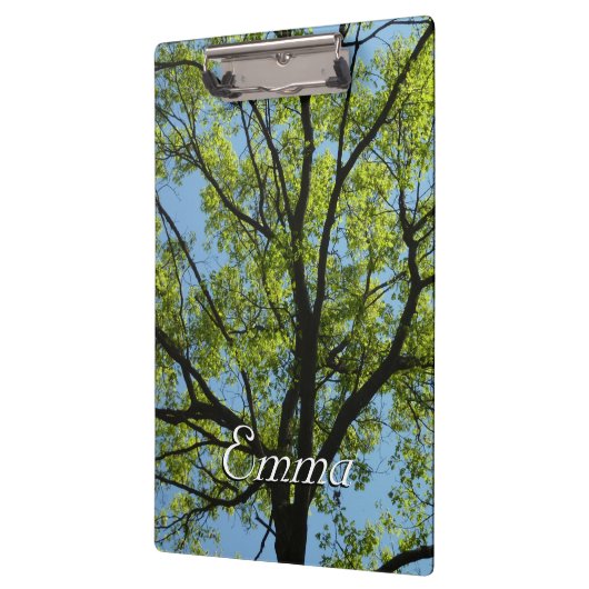 Spring Oak Tree Vibrant Natuur Klembord (Links)