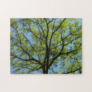 Spring Oak Tree Vibrant Natuur Legpuzzel