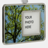 Spring Oak Tree Vibrant Natuur Verzilverd Kader Ornament (Rechts)