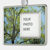 Spring Oak Tree Vibrant Natuur Verzilverd Kader Ornament (Links)