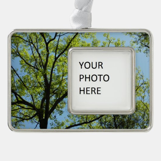 Spring Oak Tree Vibrant Natuur Verzilverd Kader Ornament (Voorkant)