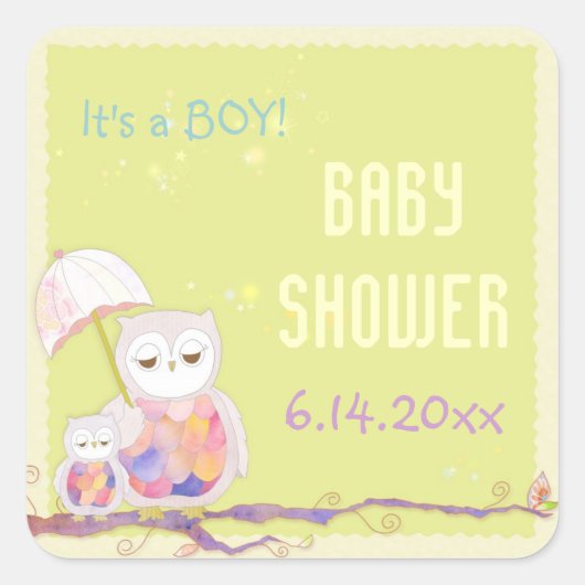 Spring Owls Baby Boy Shower Vierkante Sticker (Voorkant)