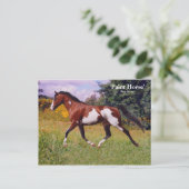 Spring Paint Horse Briefkaart (Staand voorkant)