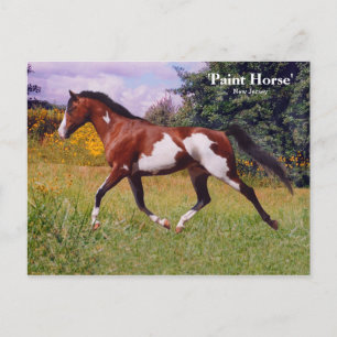 Spring Paint Horse Briefkaart