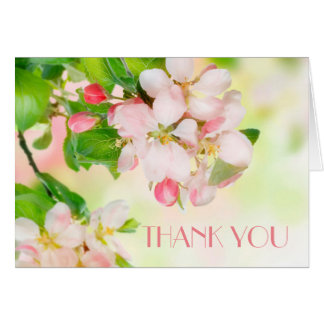 Spring Pink Blossom Branch Dank u kaart