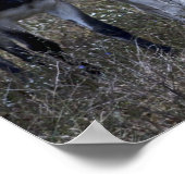 SPRING POSTER (Hoek)