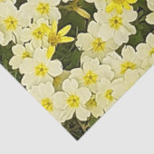 Spring Primrose Tissuepapier (Detail)