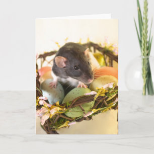 Spring Rat Card Feestdagen Kaart