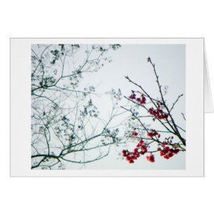 Spring Reach-out/Cherry Blossom Blank