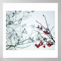 Spring Reach-Out/Cherry Blossom-print