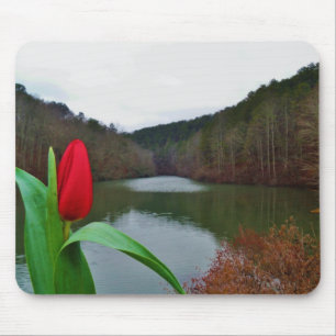 Spring Red Tulip at Lake Arrowhead Muismat