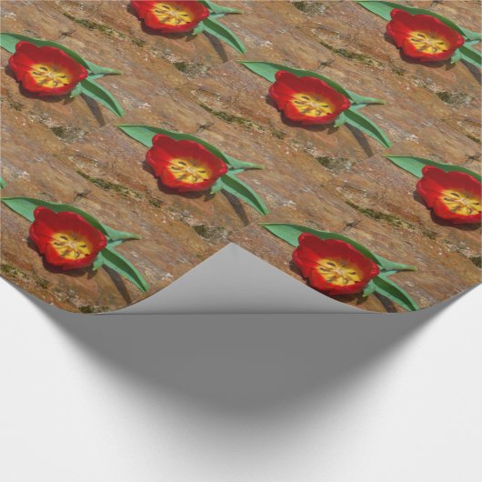 Spring Red Tulip Cadeaupapier (Hoek)