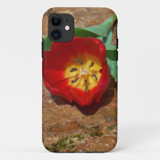 Spring Red Tulip Case-Mate iPhone Case (Achterkant)