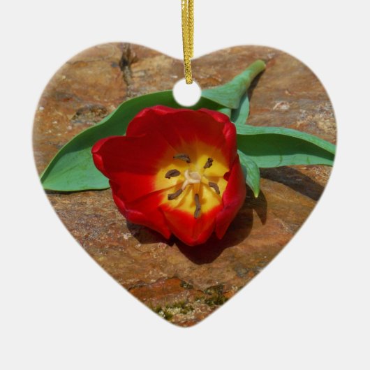 Spring Red Tulip Keramisch Ornament (Voorkant)