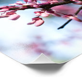 Spring Rhapsody Foto Afdruk (Hoek)