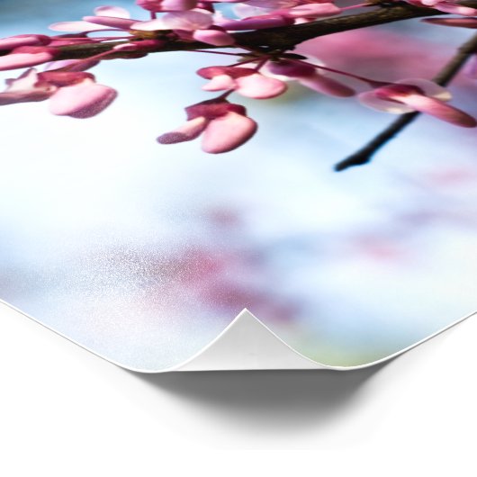 Spring Rhapsody Foto Afdruk (Hoek)