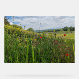 Spring riverside fotografie acryl bord