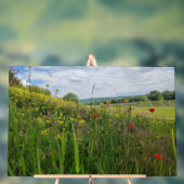 Spring riverside fotografie acryl bord (Neutraal)