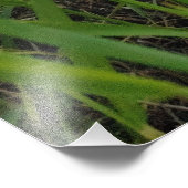 Spring riverside fotografie foto afdruk (Hoek)