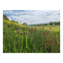 Spring riverside fotografie