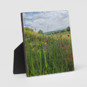 Spring riverside fotografie fotoplaat (Voorkant)