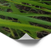 Spring riverside fotografie poster (Hoek)