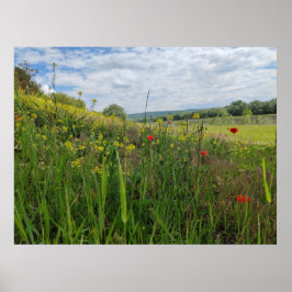 Spring riverside fotografie poster