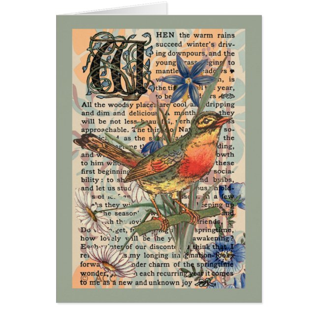 Spring Robin (Voorkant)