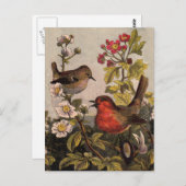 Spring Robin Birds Red Birding Briefkaart (Voorkant / Achterkant)