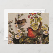 Spring Robin Birds Red Birding Briefkaart (Voorkant / Achterkant)