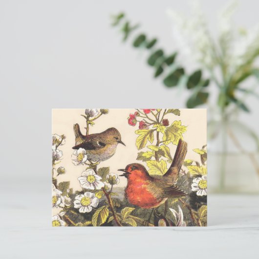 Spring Robin Birds Red Birding Briefkaart (Staand voorkant)