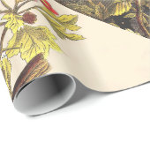 Spring Robin Birds Red Birding Cadeaupapier (Rol Hoek)