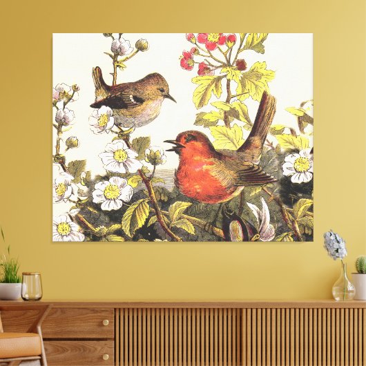 Spring Robin Birds Red Birding Canvas Afdruk (Insitu (Woonkamer))