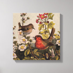 Spring Robin Birds Red Birding Canvas Afdruk