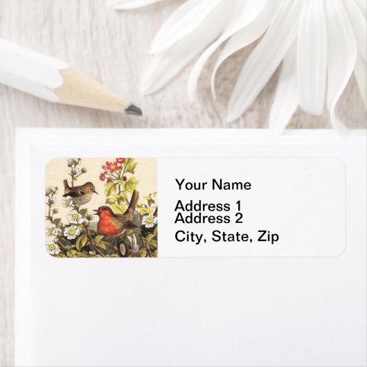 Spring Robin Birds Red Birding Etiket (Insitu)