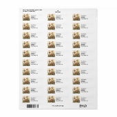 Spring Robin Birds Red Birding Etiket (Full Sheet)