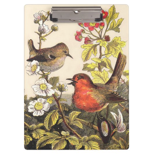 Spring Robin Birds Red Birding Klembord (Voorkant)